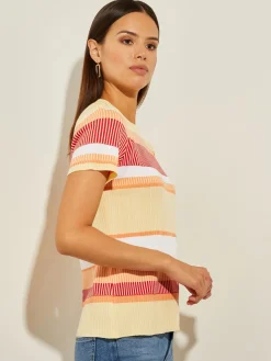 Short Sleeve Intarsia Striped Soft Knit Top